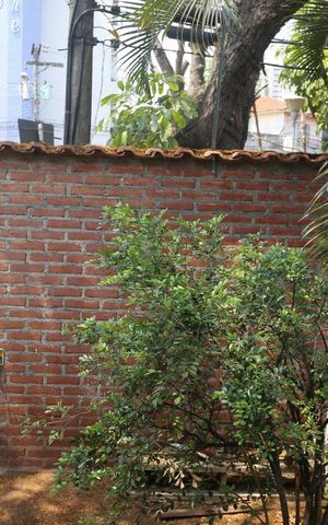 Casa à venda com 180m², 5 quartos e 2 vagasVista do Quarto 1