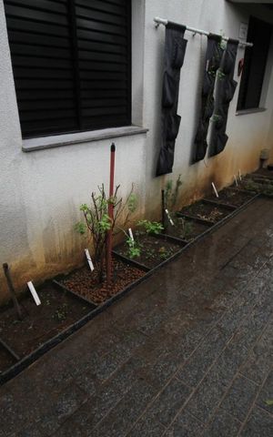 Apartamento à venda com 65m², 2 quartos e 1 vagaHorta