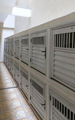 Studio para alugar com 28m², 1 quarto e sem vagaAbrigo do Gás