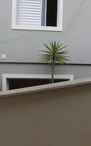 Casa para alugar com 200m², 3 quartos e 4 vagasVista do Quarto 1