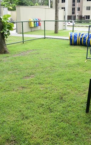 Apartamento para alugar com 50m², 2 quartos e sem vagaÁrea pet
