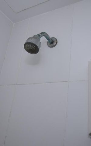 Apartamento à venda com 53m², 2 quartos e 1 vagaBanheiro Social