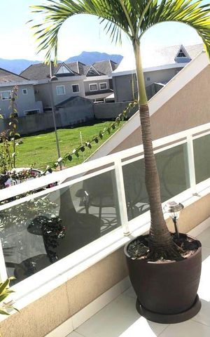 Casa de condomínio à venda com 243m², 4 quartos e 2 vagas