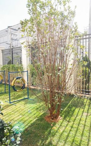 Apartamento à venda com 61m², 2 quartos e 2 vagas Apartamento à venda com 61m², 2 quartos e 2 vagasespaço pet