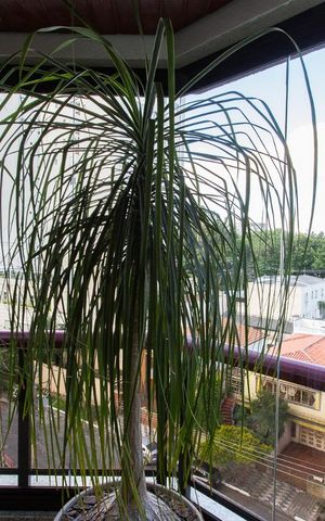 Apartamento à venda com 171m², 3 quartos e 3 vagasVaranda da Sala