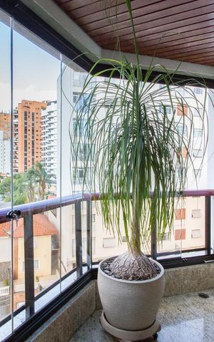 Apartamento à venda com 171m², 3 quartos e 3 vagasVaranda da Sala