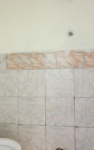 Casa para alugar com 40m², 1 quarto e sem vaga Casa para alugar com 40m², 1 quarto e sem vagaBanheiro