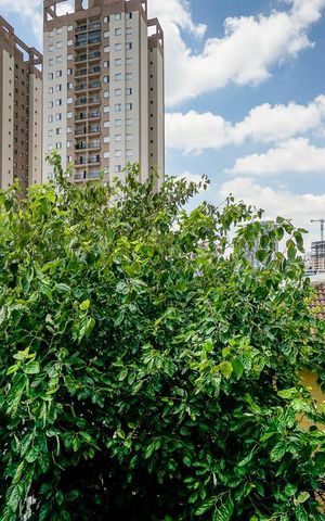Apartamento à venda com 72m², 3 quartos e 1 vaga Apartamento à venda com 72m², 3 quartos e 1 vagaVista quarto 02