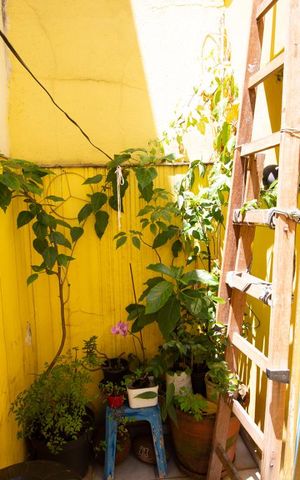 Casa à venda com 174m², 4 quartos e 2 vagasQuintal