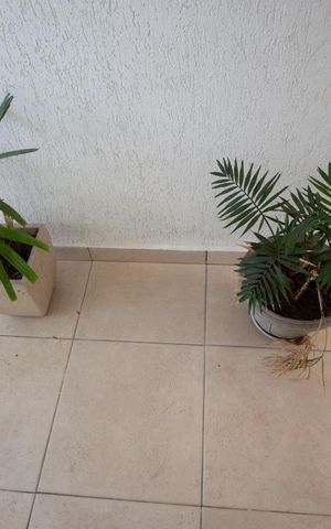 Casa à venda com 272m², 3 quartos e 5 vagas Casa à venda com 272m², 3 quartos e 5 vagasHall