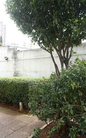 Apartamento para alugar com 36m², 1 quarto e 1 vagaÁrea comum - Pet Place