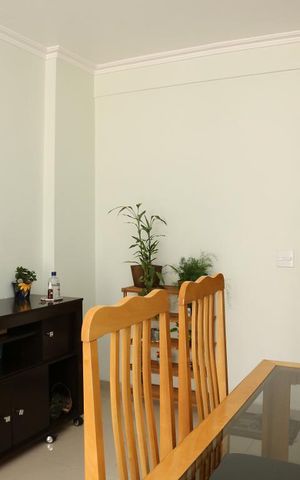 Apartamento para alugar com 60m², 2 quartos e 1 vagaSala