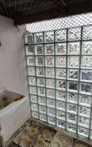 Casa à venda com 100m², 2 quartos e sem vaga2o. Andar - Cobertura