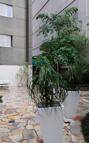 Apartamento para alugar com 40m², 1 quarto e 1 vagaÁrea Comum