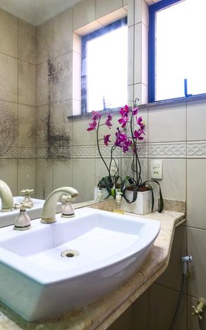 Apartamento à venda com 212m², 4 quartos e 2 vagas Apartamento à venda com 212m², 4 quartos e 2 vagasBanheiro da Suíte 2