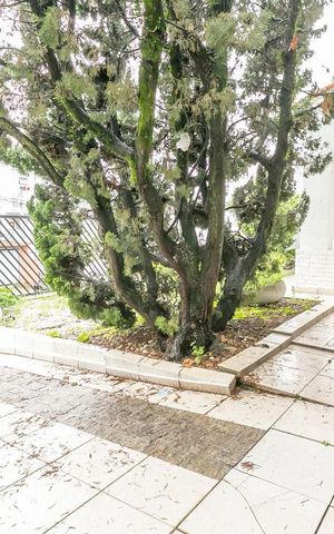 Casa à venda com 250m², 4 quartos e 5 vagasGaragem