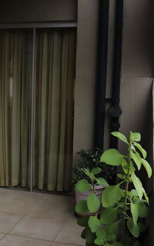 Apartamento à venda com 230m², 3 quartos e 3 vagasVaranda da Sala