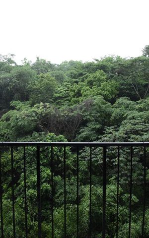 Apartamento à venda com 84m², 3 quartos e 1 vagaVaranda