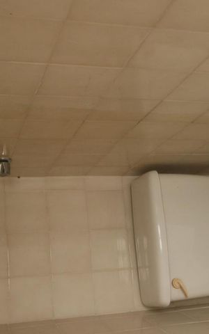 Apartamento para alugar com 75m², 2 quartos e 1 vagaDetalhe banheiro area de Serviço