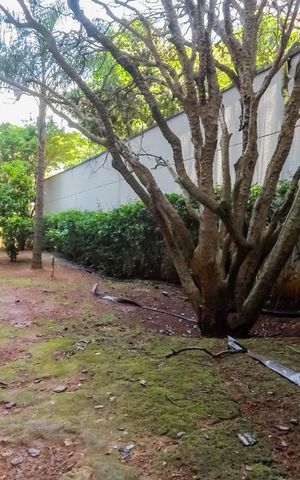 Apartamento à venda com 74m², 2 quartos e 2 vagasEspaço PET