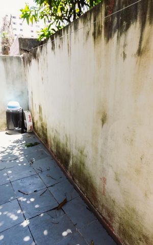 Casa à venda com 554m², 8 quartos e sem vaga Casa à venda com 554m², 8 quartos e sem vagaCasa 05 - Quintal