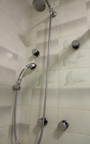 Apartamento à venda com 290m², 4 quartos e 5 vagasChuveiro
