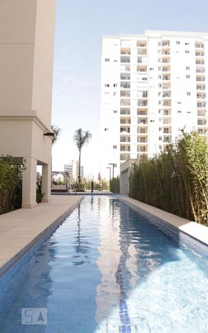 Apartamento para alugar com 55m², 2 quartos e 1 vaga Apartamento para alugar com 55m², 2 quartos e 1 vagaÁrea comum - Piscina