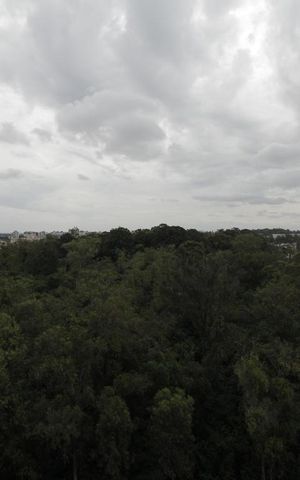 Apartamento à venda com 70m², 2 quartos e 1 vagaVista do Quarto 2