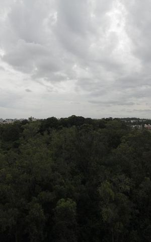 Apartamento à venda com 70m², 2 quartos e 1 vagaVista da Suíte