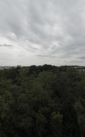 Apartamento à venda com 70m², 2 quartos e 1 vagaVista da Sala