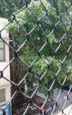 Apartamento à venda com 57m², 2 quartos e 1 vagaVista do Quarto 2