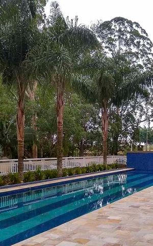 Apartamento à venda com 54m², 2 quartos e 1 vaga Apartamento à venda com 54m², 2 quartos e 1 vagaÁrea comum - Piscina