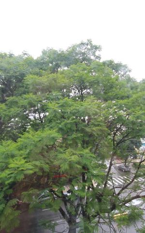 Apartamento para alugar com 48m², 1 quarto e 1 vagaVista