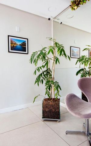 Apartamento à venda com 84m², 2 quartos e 1 vaga Apartamento à venda com 84m², 2 quartos e 1 vagaHall de Entrada