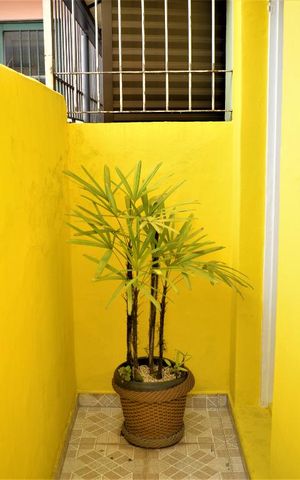 Casa para alugar com 123m², 6 quartos e sem vagaÁrea Externa Superior
