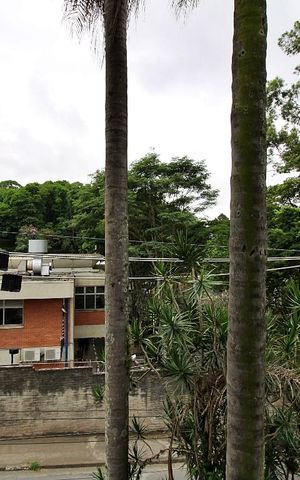 Casa à venda com 445m², 4 quartos e sem vagaVista da Suíte 2
