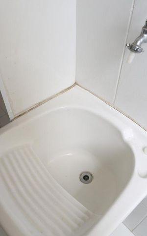 Apartamento para alugar com 58m², 2 quartos e 1 vagaÁrea de Serviço - Tanque