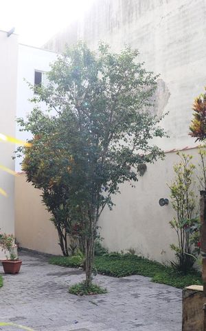 Casa à venda com 420m², 3 quartos e 6 vagasÁrea Externa