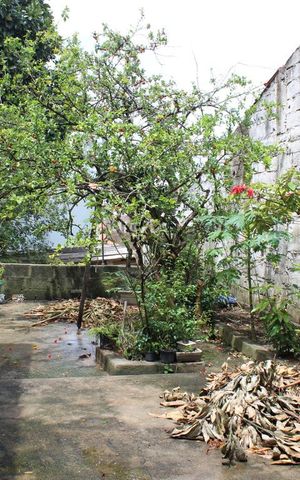 Casa à venda com 500m², 3 quartos e 4 vagasquintal