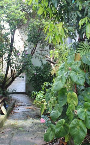 Casa à venda com 500m², 3 quartos e 4 vagasquintal