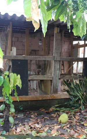 Casa à venda com 500m², 3 quartos e 4 vagasquintal