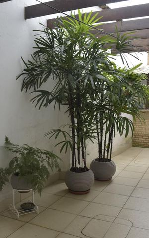 Casa à venda com 160m², 3 quartos e 1 vagaQuintal
