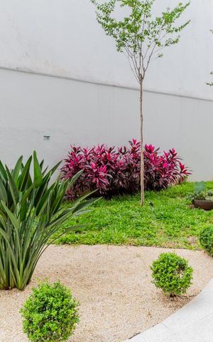 Apartamento para alugar com 25m², 1 quarto e sem vagaÁrea Comum
