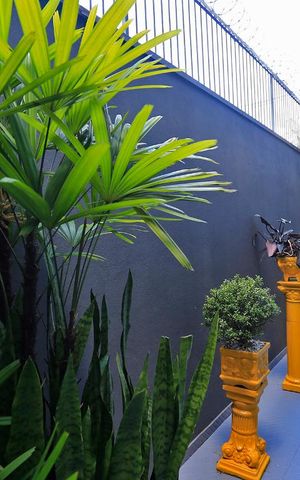 Casa à venda com 120m², 3 quartos e 2 vagasQuintal