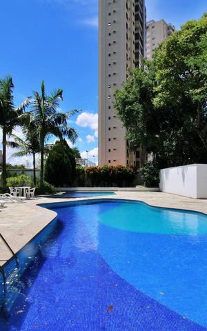 Apartamento à venda com 240m², 3 quartos e 3 vagasÁrea comum - Piscina