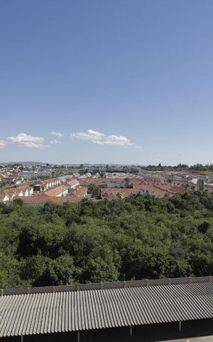 Apartamento à venda com 80m², 2 quartos e 2 vagasVista do Quarto 2