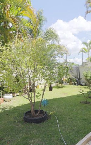 Casa à venda com 490m², 3 quartos e 6 vagasJardim