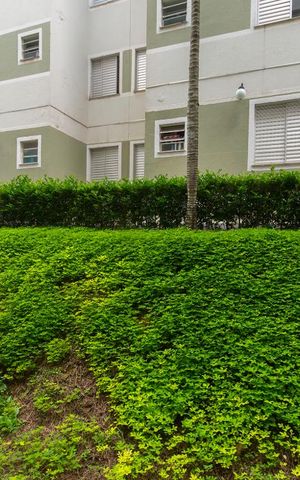 Apartamento à venda com 58m², 2 quartos e 1 vaga Apartamento à venda com 58m², 2 quartos e 1 vagaVista