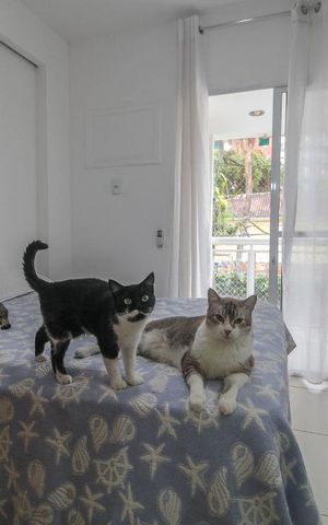 Casa de condomínio para alugar com 90m², 2 quartos e 1 vaga Casa de condomínio para alugar com 90m², 2 quartos e 1 vagaQuarto 1