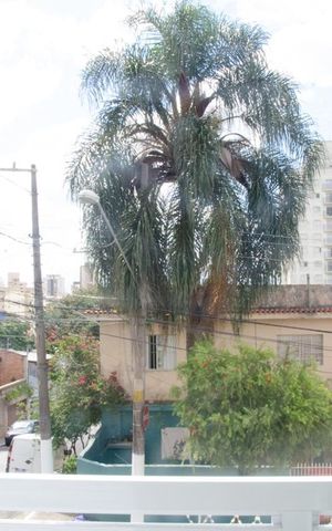 Casa para alugar com 120m², 2 quartos e 2 vagasVista do Quarto